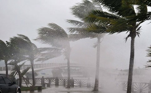 д̨ľӾѡ,дд̨ľӾѡ