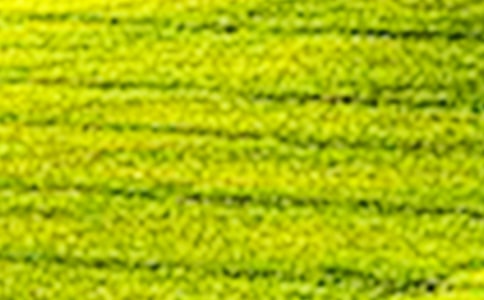 【推荐】田野作文300字四篇