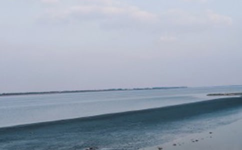 我们看海去读后感