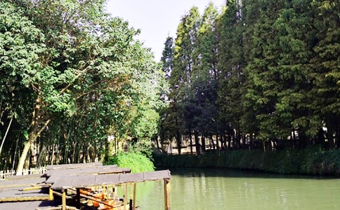 有关乌镇作文300字三篇