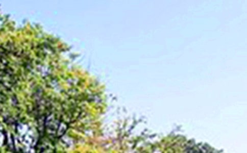 关于暖心午安说说90句