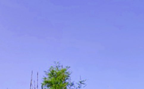 个性午安句子(精选100句)