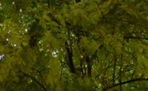 温馨午安说说大全60句