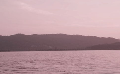 【精选】西湖作文300字6篇