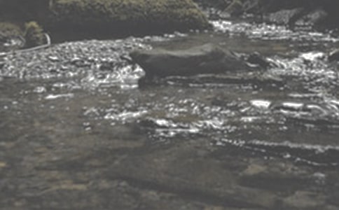 ����СϪ���ĸ衷�и�