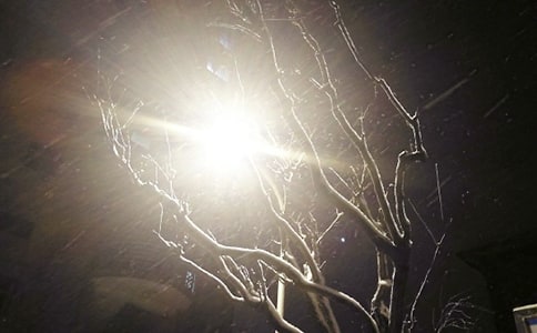 ѩ췢˵˵İ ʺѩ췢İ