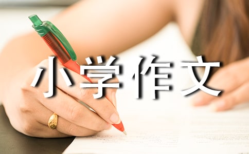 精选难忘的小学作文600字3篇