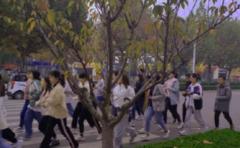 早操迟到检讨书(合集15篇)