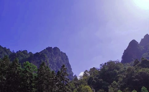 żҽ2018СѧСѧƬϢ