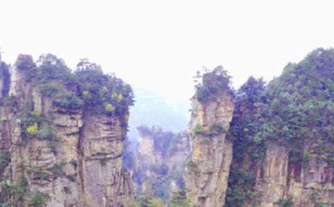 2018żҽصСѧ,żҽصСѧѧ