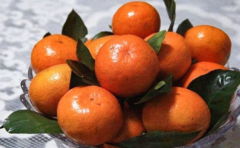 实用的橘子作文300字