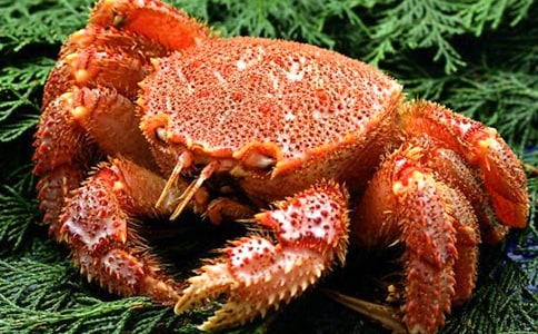 实用的螃蟹的作文300字四篇