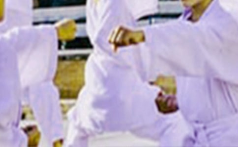 跆拳道协会工作计划